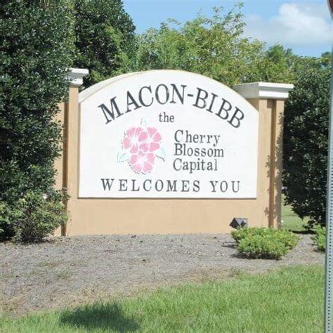 macon bibb home page.